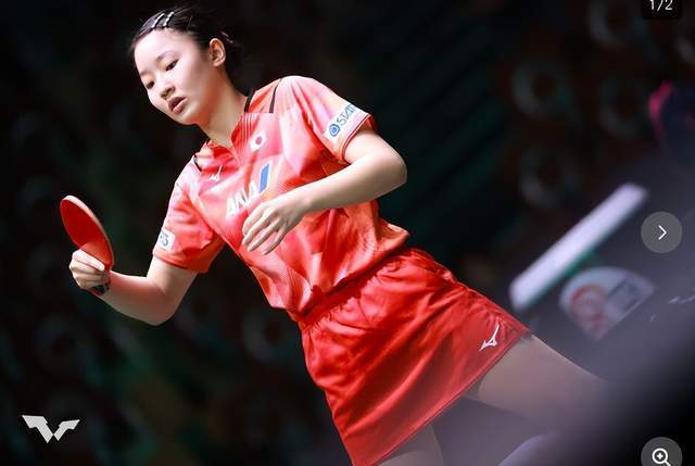 熊的收官战 熊的收官战