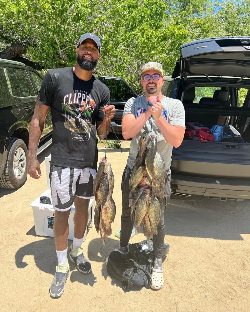 据内部分析 据内部分析